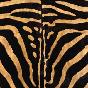 Zebra Animal Print Galaxy S9 Skin
